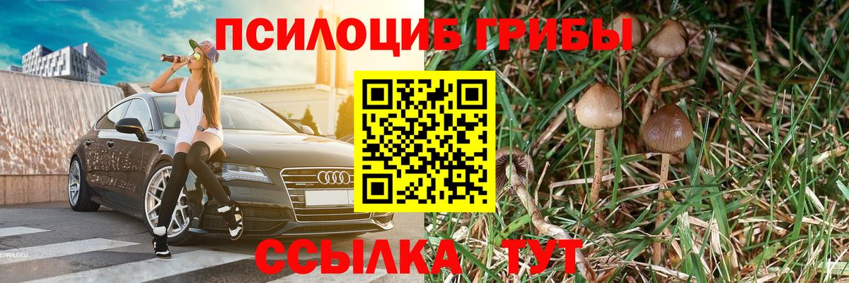 Галлюциногенные грибы Psilocybine cubensis  цены   Усолье-Сибирское  Вход с VPN 
