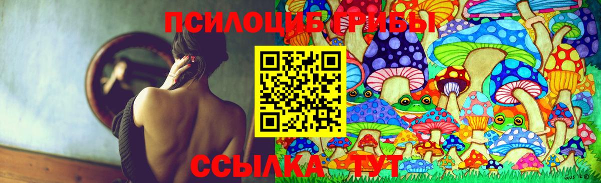 Псилоцибиновые грибы Psilocybe Усолье-Сибирское